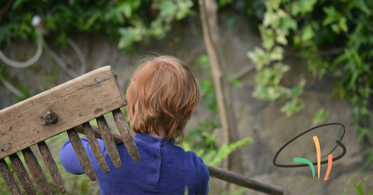 amministratore professionista